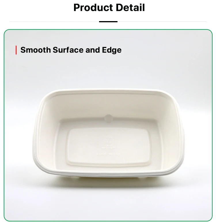 Bagasse-Tray_08.jpg