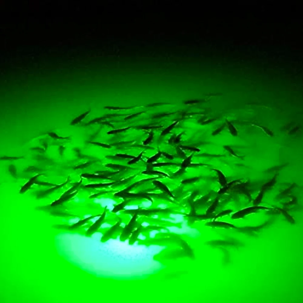 battery operated green fishing lights