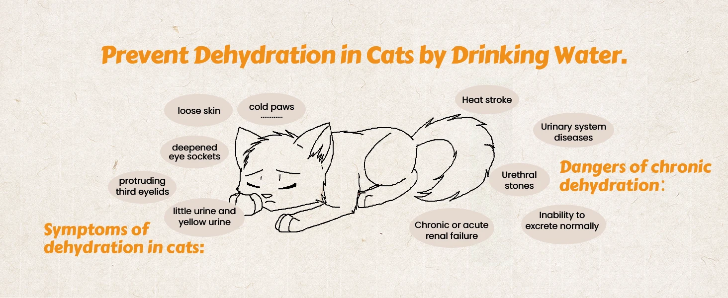 automatic water dispenser for cats, cat drinking fountains, pet water fountain for cats, cat water