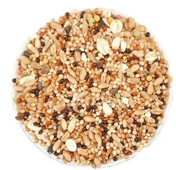 Parrot feed tiger skin peony cockatiel calcium supplement nutrient mixed grain millet with shell Parrot bird food