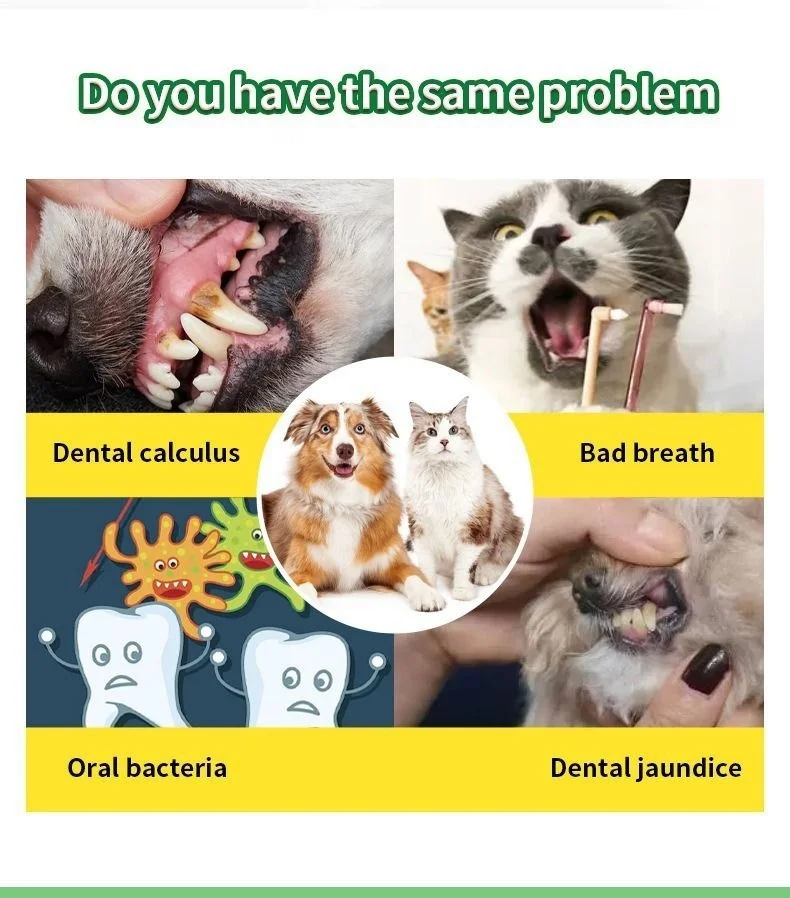 New Pet Dental Powder for Cats and Dogs to Remove Bad Breath Pet Oral Care Dry Cleaning Powder Pet Products factory