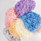 Hydrangea Amazon Hot Selling Different Style Real Beautiful Colors Real Touch Hydrangea With Long Stem