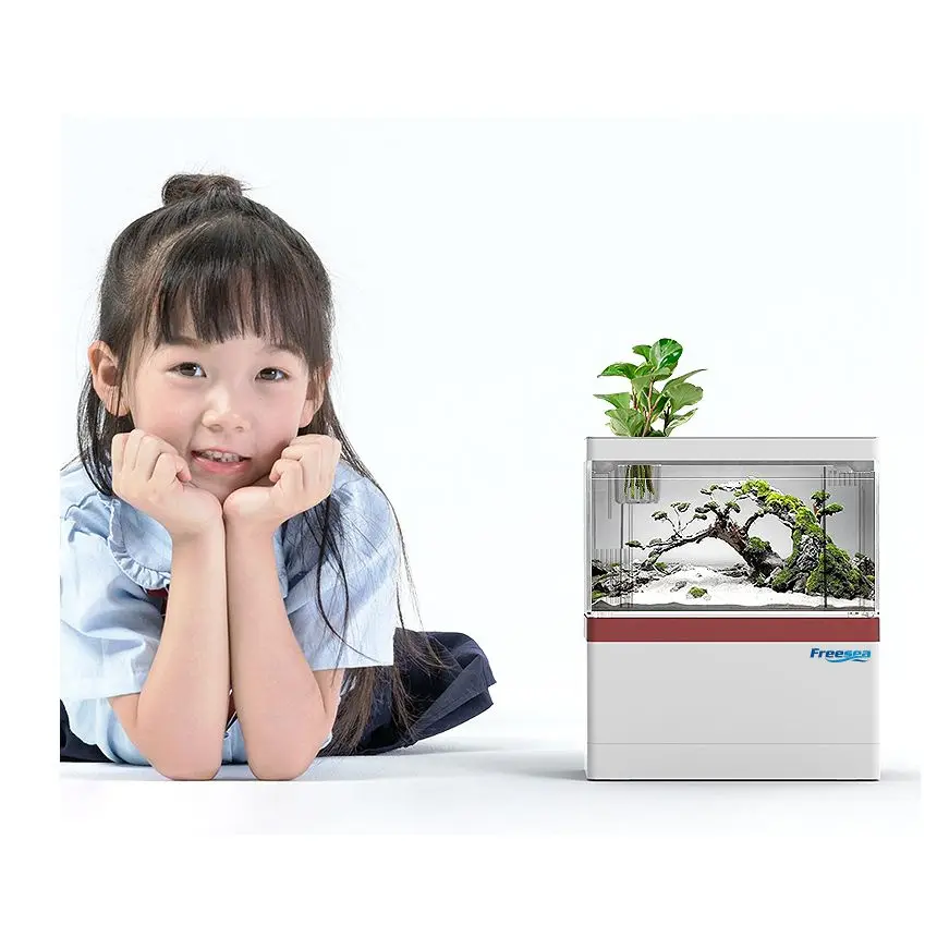 betta fish water filter