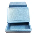 Delivery Box Foam Cooler Box Customized Colourful EPP Foam Delivery Cooler Box