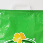 Plastic Bag Thermal Laminated Plastic Cooler Bag For Beer Thermal Bag For Frozen Food Insulated