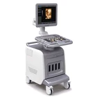 Ultrasound Ultrasound Machine Easy Operation Multi-Language 3D 4D Portable Ultrasound Machine With Trolley
