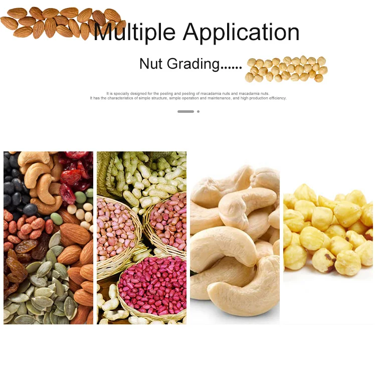 China Manufacturer's New Stainless Steel Automatic Peanut Groundnut Grading Sorting Machine Motor Engine Nuts Corn Soybean supplier