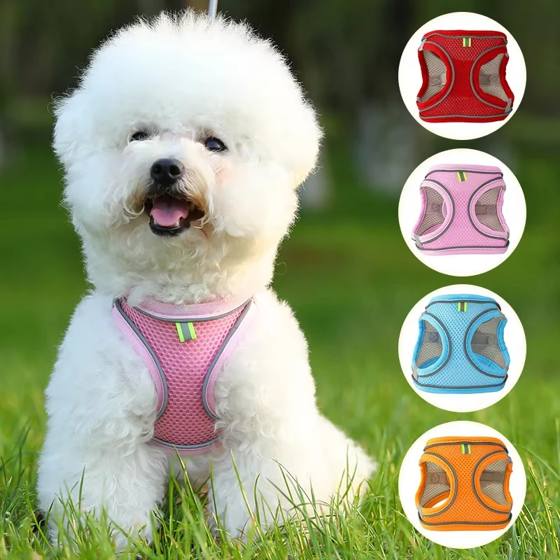 Hot Sale Pet Harness Reflective Nylon Dog Leash Harness Set Small Puppy Dog Cat Harness Pet Products manufacture
