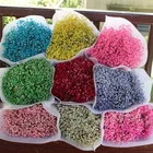 Flower Flowers Export Flowers High Quality Gypsophila Flower Natural Gypsophila Real Natural Flowers Preserved