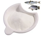 Product Sea Fish Hydrolyzed Collagen Peptide Fish Halal Collagen Product