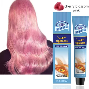 Color hair cream Custom brand LIGHTNESS Organic Professional hair salon permanent 100ml pink hair dye