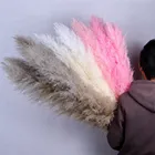 Wedding Pink 60cm 120cm High Quality Wedding Decoration Natural White Beige Pink Brown Fluffy Tall Pampas Grass 30 Pcs