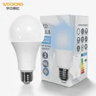 Led Bulb Light Led Led Lamp E27 WOOJONG Decorative Lamp Color Led Bulb Raw Material A60 12W/20W B22/E27 LED Light Bulb
