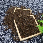 New Corns Attractive Price New Type Wholesale Price Corns Organic Black Pepper