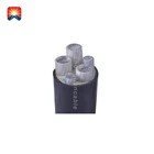Xlpe High Voltage Cable High Quality Xlpe Insulation Aluminium Low Voltage Power Cable
