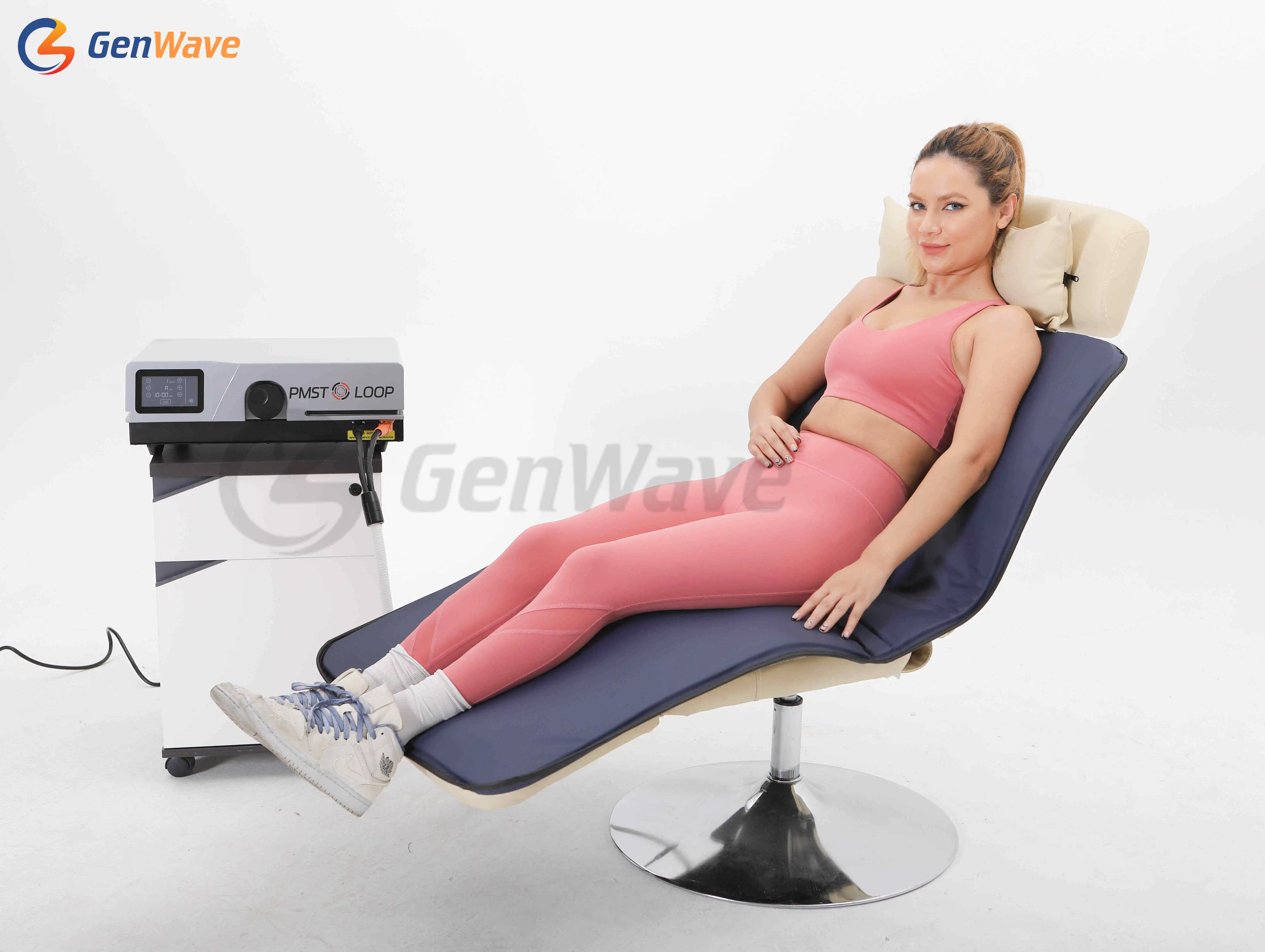 Pemf Mat Whole Body Therapy Device Pemf Loop Paddles Magnetic Pmst Loop