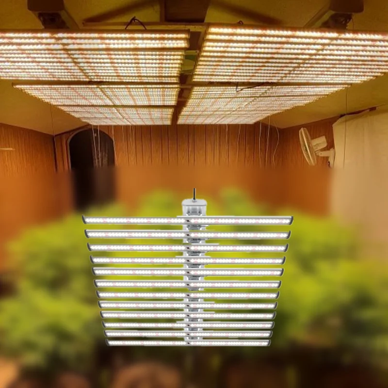 best 4x4 led grow light