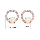 Opal Opal Factory Supply All-match High-End Brass Simple Fashion Round Opal Zircon Elegant Stud Earrings