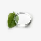 Glass Shape Heat Resistant Borosilicate Glass Discs Round Shape Optical Glass