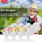 Yxo Yuxinou 50W 30W 20W Ac 220V No Need Driver Smart Ic Bulb Lamp Dob Led Cob Chip For Diy Led Floodlight Spotlight