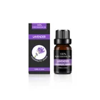 Pure Lavender Pure Essential Aromatherapy Oils Single Box 10ml