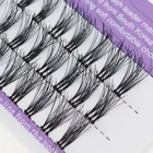 Eyelashes Cluster Eyelashes 20d Natural Custom Package 100% Human Hair Silk 10d 20d Mink Fan Cluster Eyelashes