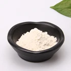Flour Best Price Fried Chicken Breading 1kg Bag Pack Free Sample Deep Fry Flour Crispy Fried Powder