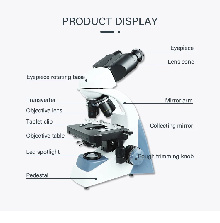 Microscope XSP-500SM Laboratory Biological Binocular Microscope