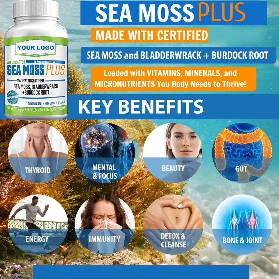 Sea Moss Pills Certified Organic Irish Seamoss Capsules Bladderwrack Irish Sea Moss Capsules