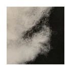 Wool Wholesale Raw Washed Sheep Wool High Quality Dehaired Cashmere Fiber