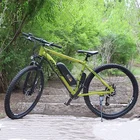 Bike Speed Cheap E Bike 21 Speed Hot Selling 36v 10Ah Battery 250w/350w/500w Electric Bicycle Electric Mountain Bike