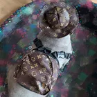 Dog Luxury Brand Dog Clothes Design Classic Printing Fashion Adjustable Leather Dog Backpack Bag With Hat