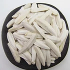 Sunflower In Best Selling Imported Spice Flavor Sunflower Seed In Stock