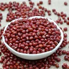 Beans Wholesale Adzuki Pearl Type Small Round Red Beans