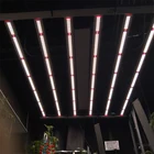 Light Factory Etl High Power Led Grow Light Bar 640 Watt Full Spectrum Bar Commercial