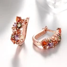Silver Earrings 925 Sterling Silver Fashion Crystal Zircon Rose Gold Earrings