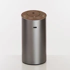 Mini Waterless Electric Mini Essential Oil Nebulizer USB Battery Operated Professional Scent Diffuser