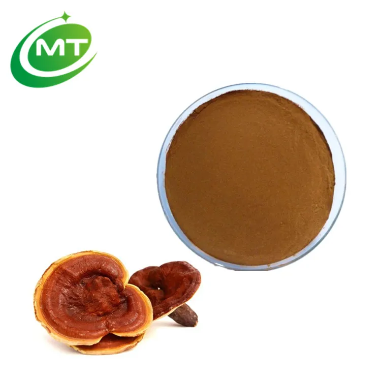 Reishi Mushroom Extract