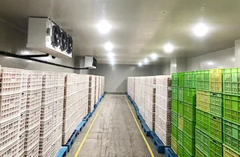 Refrigeration Unit, 40~+25C, 220 V, R22 - detail 42