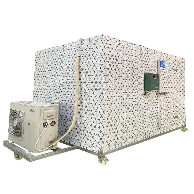 Cold Room Storage, 20Ft, 220, R22 - detail 16