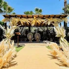 Wedding Wedding Wedding Decoration Tall Large Preserved Dried Flower Natural Dry Big Long Fluffy Reed Pampas Grass Decor