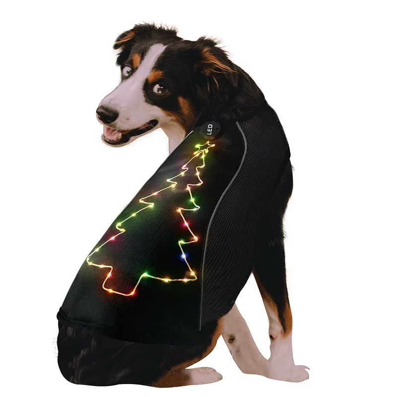 light up dog clothes