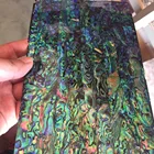 Abalone Soft Natural Abalone Shell Laminate