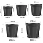 Tree Pot Money Tree Root Control Pot Black Currant Plastic Money Tree Base Planting Pot To Prevent Root Rotten