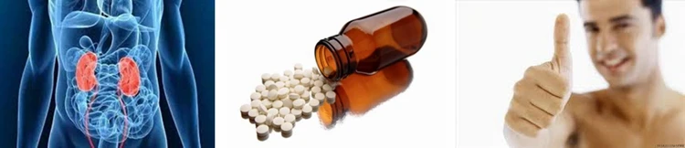 ISO Factory Supply Sea Cucumber Extract Powder.jpg