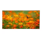 Tv High Brightness Ultra Hd Resolution Outdoor Led Tv Importer