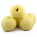 Pear Pear Fruit Wholesale Rock Sugar Fengshui Pear Fresh Seasonal Fruit Sweet Pear Fragrant Crispy Golden Pear