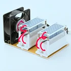 Generator Ozone Generator 20g AC220V 20g Portable Ozone Generator
