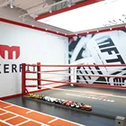 Ring Boxing Ring Factory Thai Boxing Ring Canvas With Customers Logo Boxing Ring