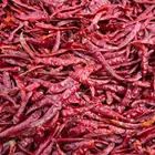 Dried Pepper 2020 Chinese Special Dried Chili Pepper